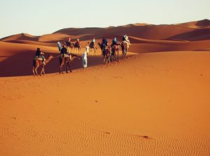 Sahara Desert Sand Dunes