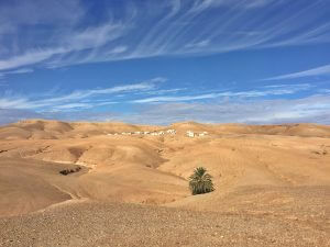 Agafay Desert Day Trip