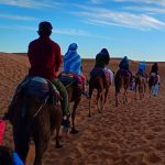 Cameltrekking morocco