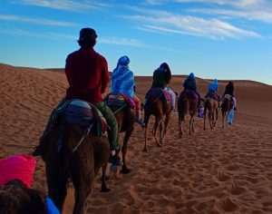 Cameltrekking morocco - Trekking Tours in Morocco | Hiking tours in Morocco | Sahara Desert tours in Morocco | Luxury Desert Morocco | The Best Things to See and Do in Morocco - Culture Trip | Marrakech things to do | Day Trip to Essaouira | Authentic things to do in Marrakech | TREKKING IN MOROCCO | Trekking in Morocco | Holidays & Hiking in Atlas Mountains | Best trails in Morocco