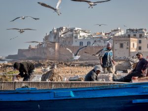 Essaouira City day trip