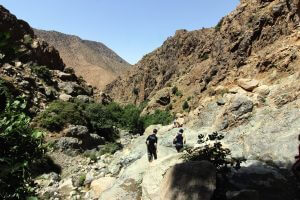 Ourika Valley Day Trip