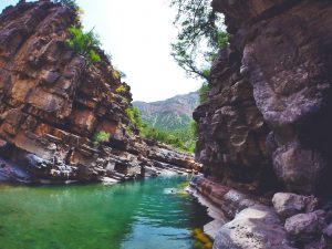 Paradise Valley Tours