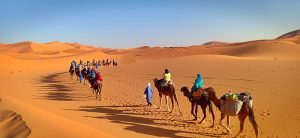 عروض السفر فى المغرب