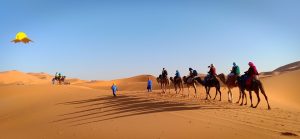 Sahara Desert tours