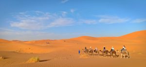 Combined Atlas Sahara Desert Tour