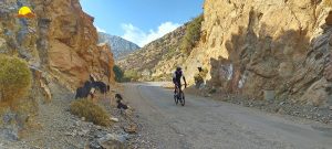 cycling in Morocco - Trekking Tours in Morocco | Hiking tours in Morocco | Sahara Desert tours in Morocco | Luxury Desert Morocco | The Best Things to See and Do in Morocco - Culture Trip | Marrakech things to do | Day Trip to Essaouira | Authentic things to do in Marrakech | TREKKING IN MOROCCO | Trekking in Morocco | Holidays & Hiking in Atlas Mountains | Best trails in Morocco