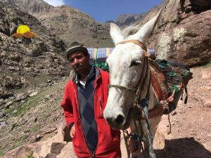 muleteer durin toubkal trek - Trekking Tours in Morocco | Hiking tours in Morocco | Sahara Desert tours in Morocco | Luxury Desert Morocco | The Best Things to See and Do in Morocco - Culture Trip | Marrakech things to do | Day Trip to Essaouira | Authentic things to do in Marrakech | TREKKING IN MOROCCO | Trekking in Morocco | Holidays & Hiking in Atlas Mountains | Best trails in Morocco
