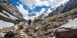 toubkal ascent mule trail