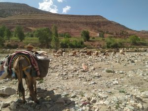 Amazing Treks in Morocco