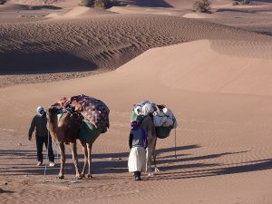 Camelters settled the camp - trekking in cheggaga desert