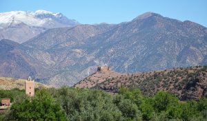 Mezguita Kasbah Nfis Valley