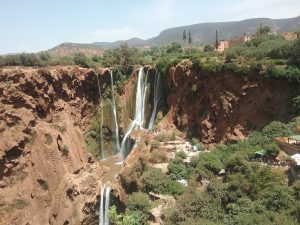 Ouzoud Waterfalls - Day Trips - monkey village