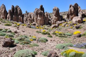 Siroua Treks - Anti-atlas Mountains Tours