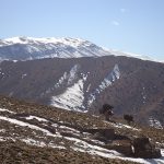 The Mgoun Summit - Central High Atlas Mountains