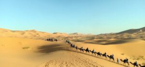 Morocco Tours Caravan