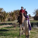 Frequently asked questions to Trekking Holidays Morocco | Morocco tours 2 - Trekking Tours in Morocco | Hiking tours in Morocco | Sahara Desert tours in Morocco | Luxury Desert Morocco | The Best Things to See and Do in Morocco - Culture Trip | Marrakech things to do | Day Trip to Essaouira | Authentic things to do in Marrakech | TREKKING IN MOROCCO | Trekking in Morocco | Holidays & Hiking in Atlas Mountains | Best trails in Morocco Morocco Tours