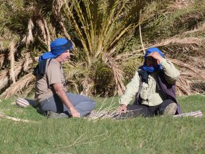 rest in the oasis - trekking in the desert Zagora