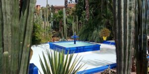 the Majorelle Garden day trips from Marrakech
