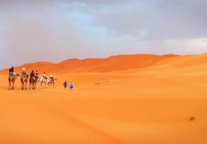 Camel Ride Experience in Morocco - Trekking Tours in Morocco | Hiking tours in Morocco | Sahara Desert tours in Morocco | Luxury Desert Morocco | The Best Things to See and Do in Morocco - Culture Trip | Marrakech things to do | Day Trip to Essaouira | Authentic things to do in Marrakech | TREKKING IN MOROCCO | Trekking in Morocco | Holidays & Hiking in Atlas Mountains | Best trails in Morocco