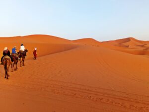 Camel Ride in Merzouga desert 1 - Trekking Tours in Morocco | Hiking tours in Morocco | Sahara Desert tours in Morocco | Luxury Desert Morocco | The Best Things to See and Do in Morocco - Culture Trip | Marrakech things to do | Day Trip to Essaouira | Authentic things to do in Marrakech | TREKKING IN MOROCCO | Trekking in Morocco | Holidays & Hiking in Atlas Mountains | Best trails in Morocco