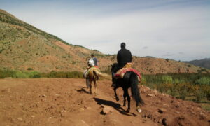 Top 10 Best Morocco Tours - Trekking in Morocco - Sahara Desert Tours