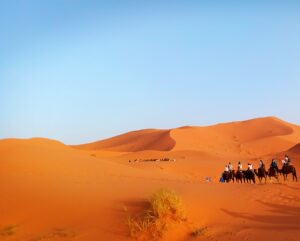 Ride Camels there - Trekking Tours in Morocco | Hiking tours in Morocco | Sahara Desert tours in Morocco | Luxury Desert Morocco | The Best Things to See and Do in Morocco - Culture Trip | Marrakech things to do | Day Trip to Essaouira | Authentic things to do in Marrakech | TREKKING IN MOROCCO | Trekking in Morocco | Holidays & Hiking in Atlas Mountains | Best trails in Morocco