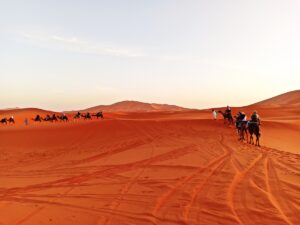 Sahara Tours in Morocco - Trekking Tours in Morocco | Hiking tours in Morocco | Sahara Desert tours in Morocco | Luxury Desert Morocco | The Best Things to See and Do in Morocco - Culture Trip | Marrakech things to do | Day Trip to Essaouira | Authentic things to do in Marrakech | TREKKING IN MOROCCO | Trekking in Morocco | Holidays & Hiking in Atlas Mountains | Best trails in Morocco