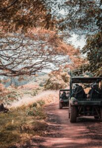 Quad Bike