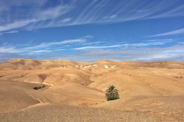 Agafay Desert Day Trip