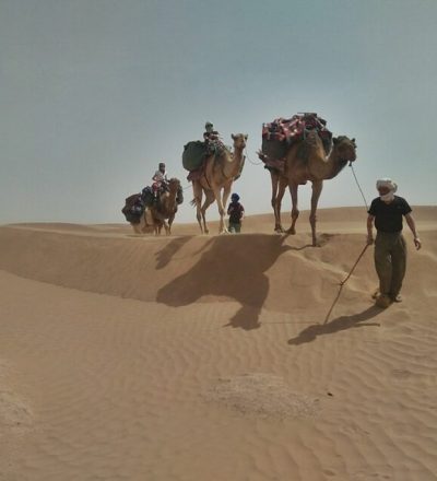 Zagora Desert; Camel Trek; Trekking In Morocco, Sahara Desert 