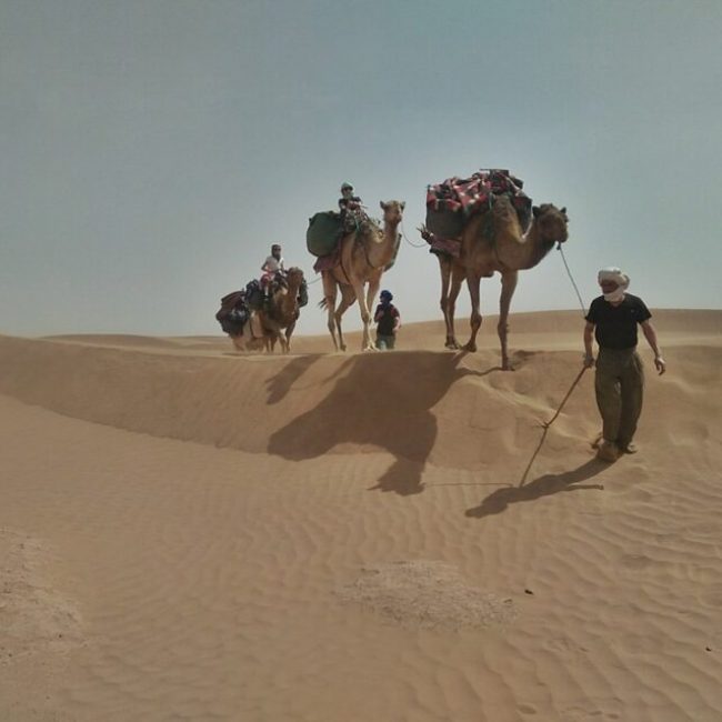 Zagora Desert; Camel Trek; Trekking In Morocco, Sahara Desert 