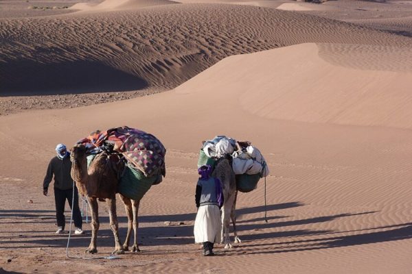 Camelters settled the camp - trekking in cheggaga desert