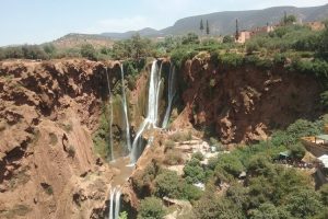 Ouzoud Waterfalls - Day Trips - monkey village