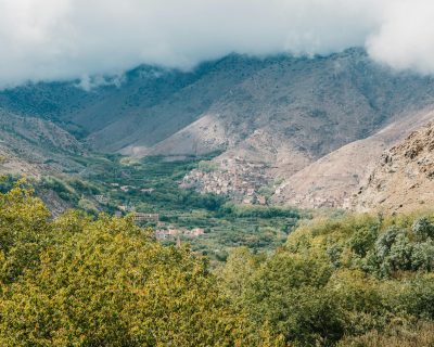 pexels-photo-17492446-17492446